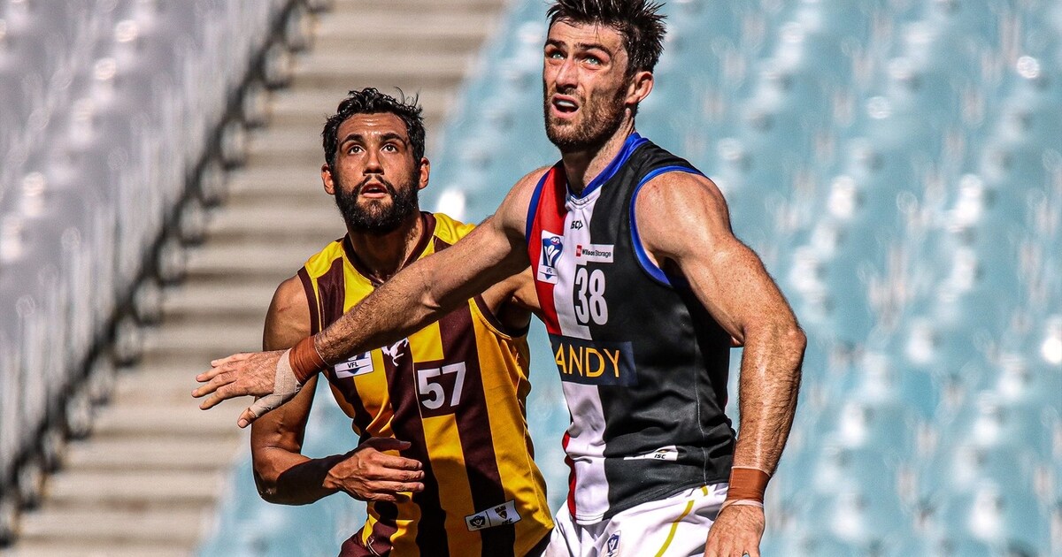 Hawks spread their wings over Zebras, Campbell goes big once more